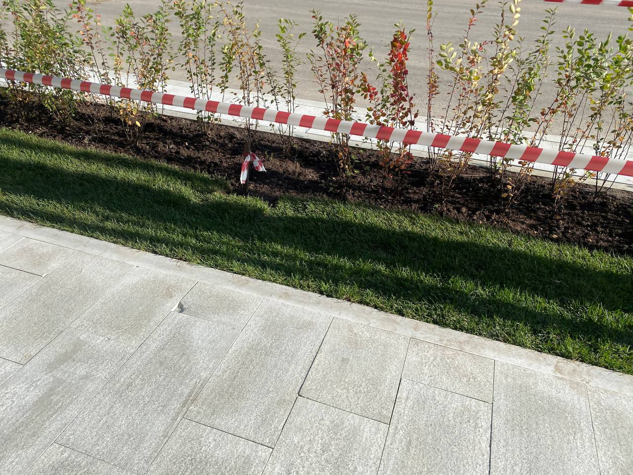 https://severodvinsk.blago-s.ru/storage/app/uploads/public/670/e06/820/670e06820d5c2175931920.jpeg